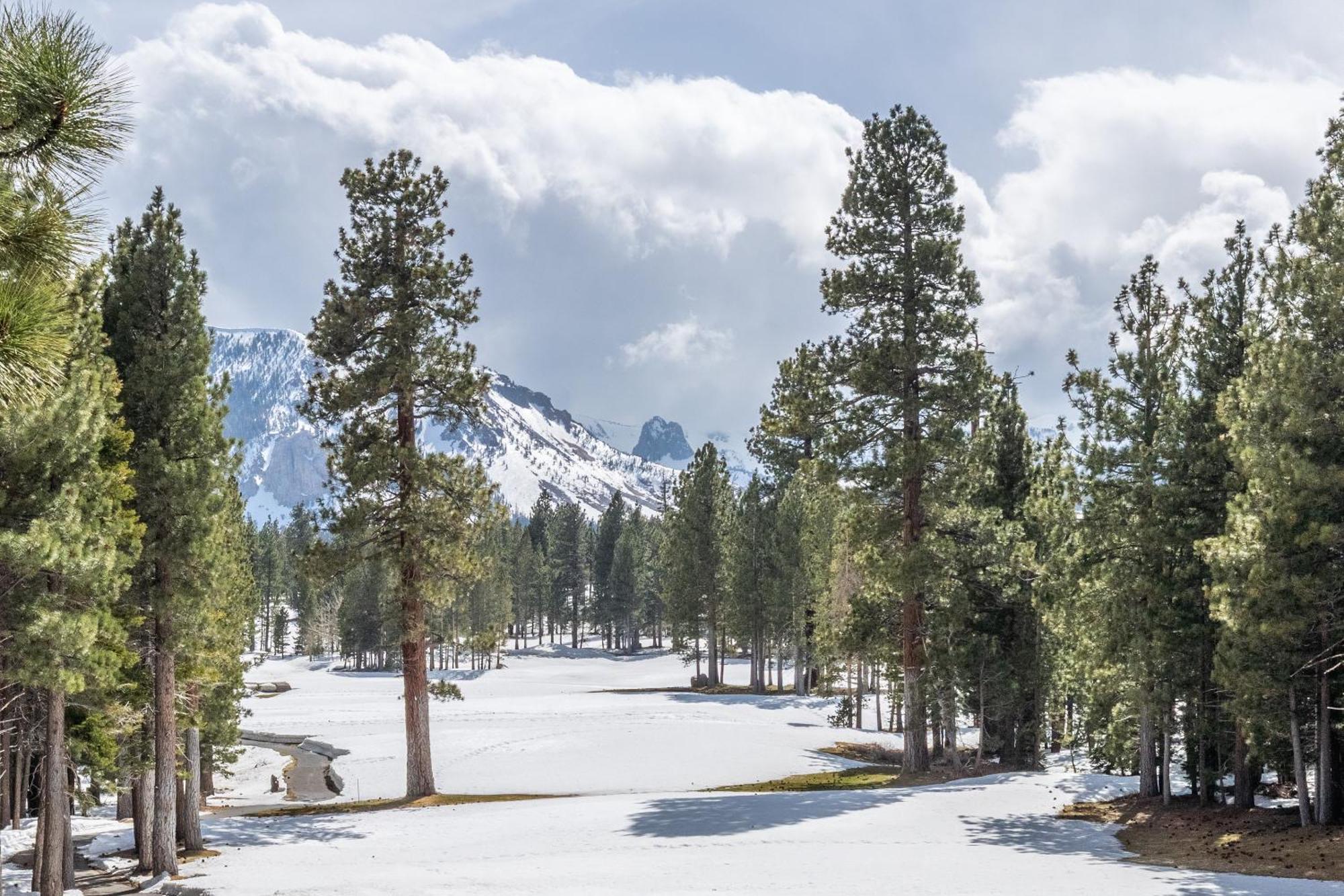 New Luxury 4br /3ba Obsidian Reserve #110 – Hot Tub, 2-car Garage, Pool Table, Mount Views! *